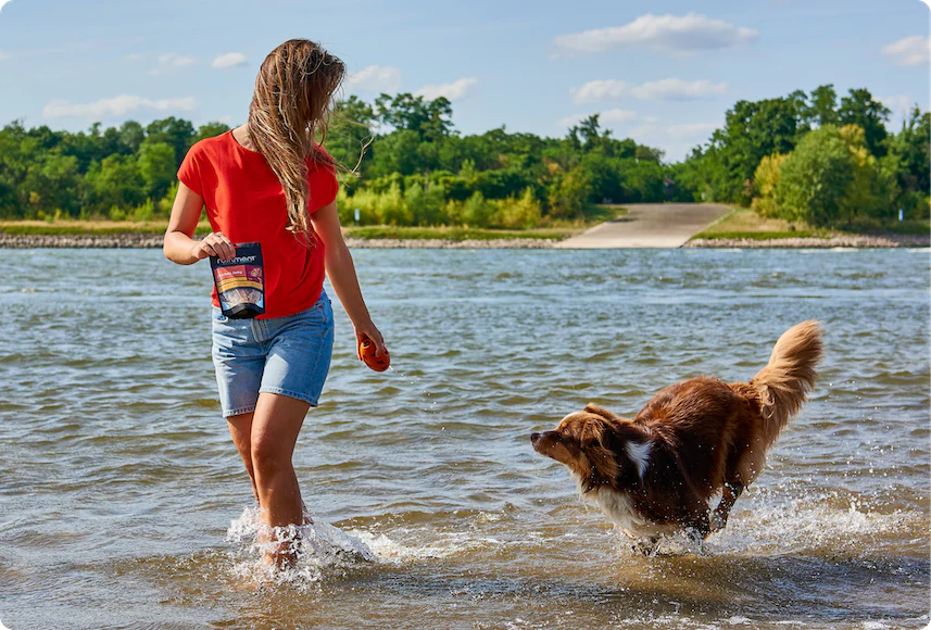 Raw Food for Healthier Pets