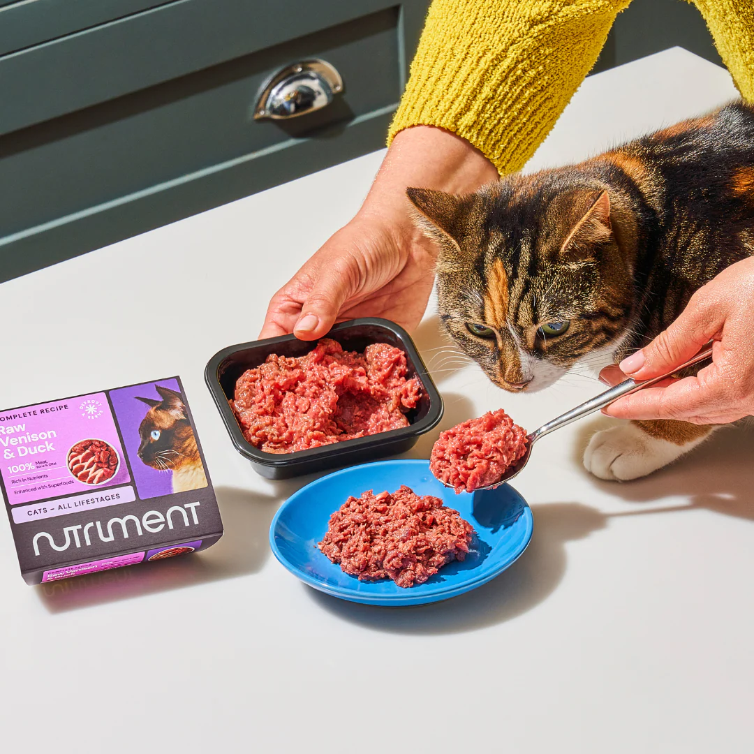 5kg Cat Raw Starter Duo Box - Image 4