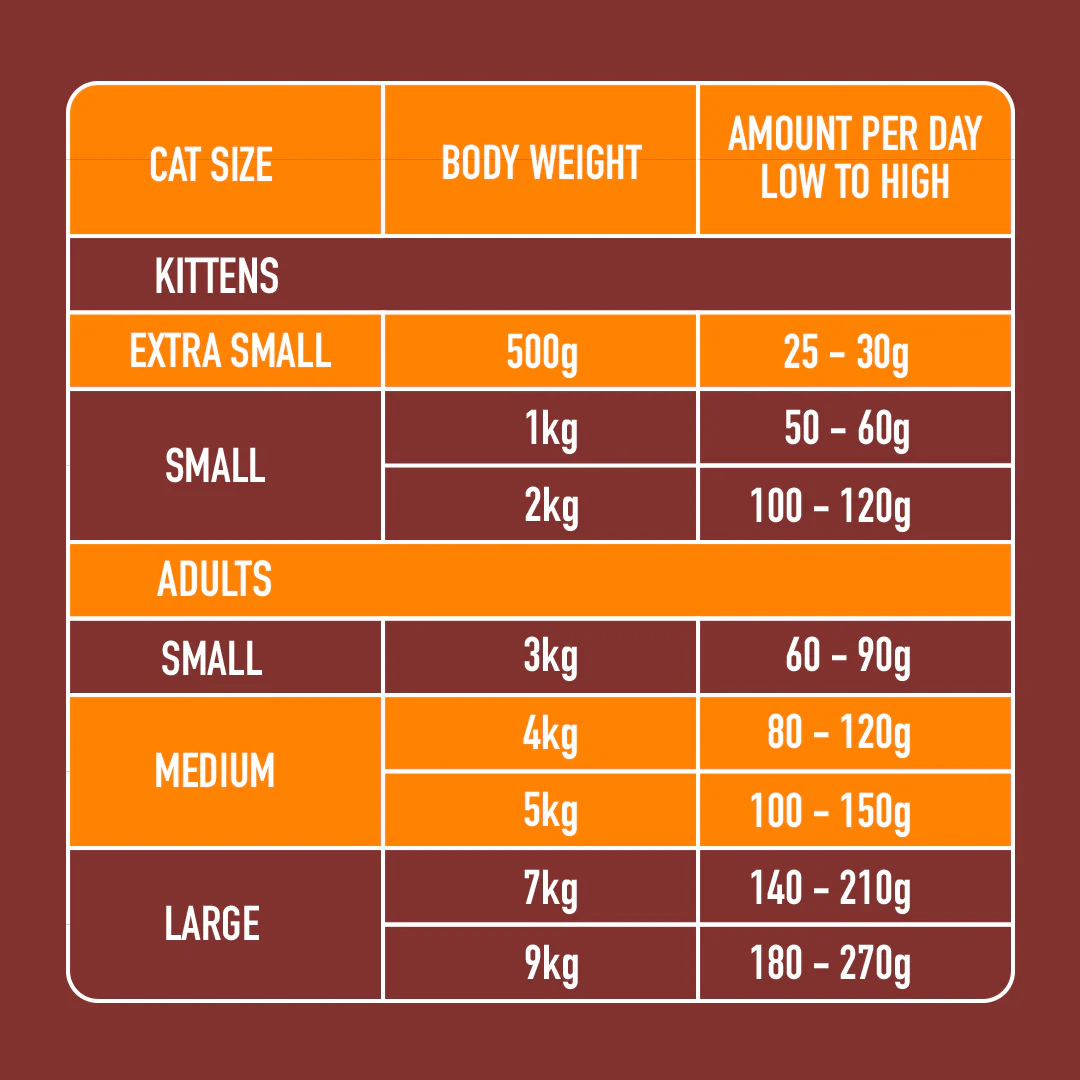 5kg Cat Raw Starter Duo Box - Image 6