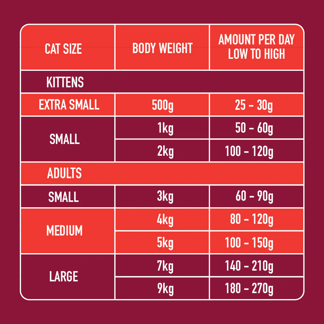 Cat Raw Beef 500g - Image 4