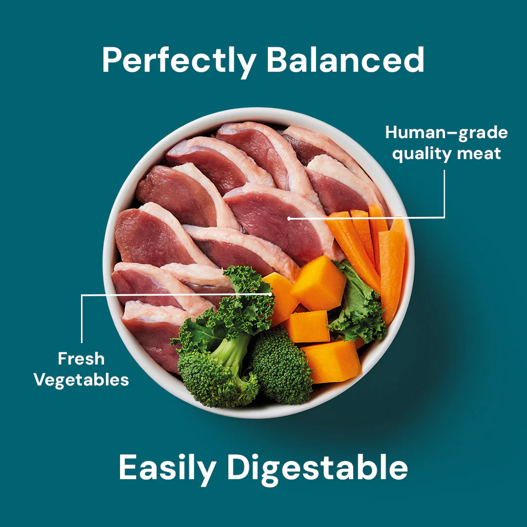 Raw Duck 500g - Image 4