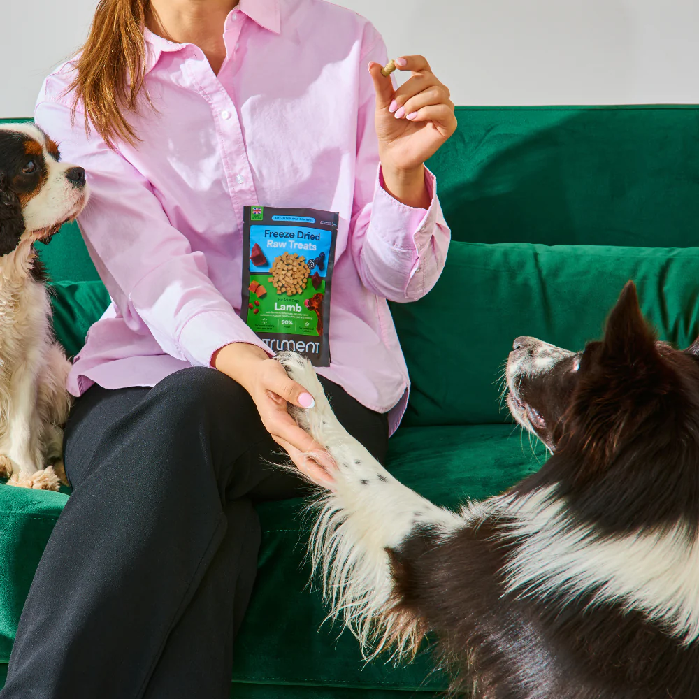 Freeze Dried Treats - Beef 30g - Image 5