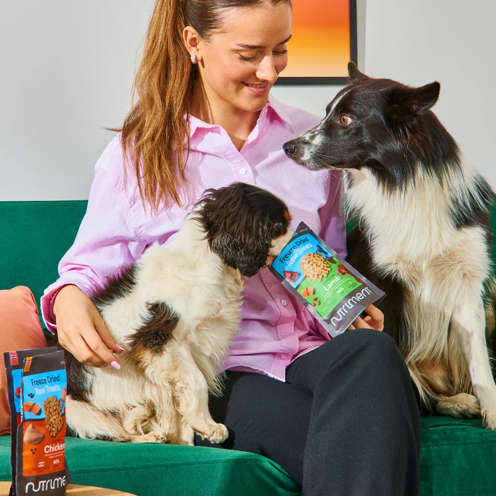 Freeze Dried Treats - Beef 30g - Image 6