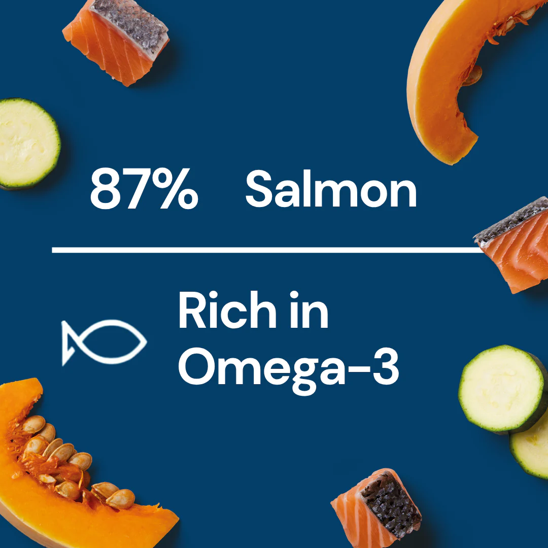 Fresh Medallions - Salmon 800g - Image 3