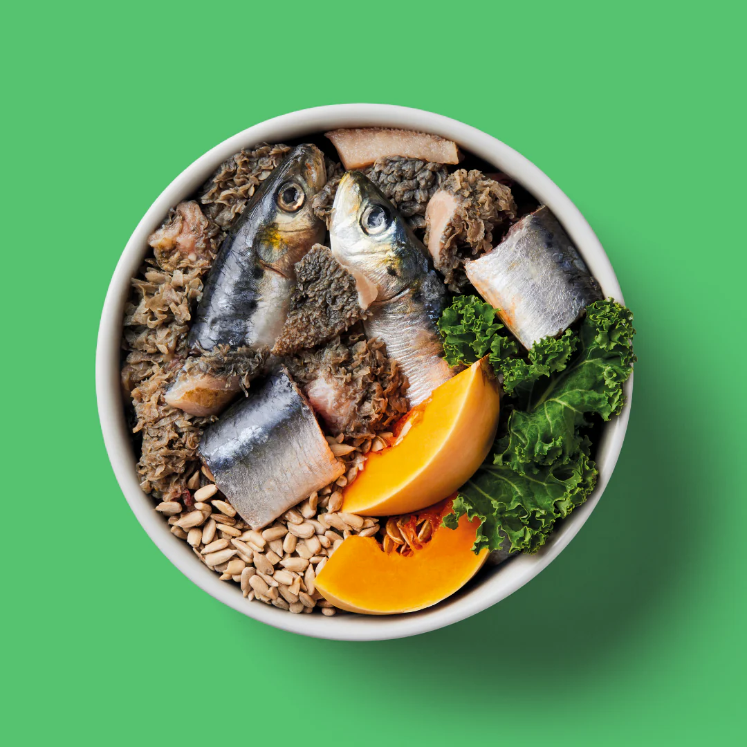 Kidney Support 500g - Image 2