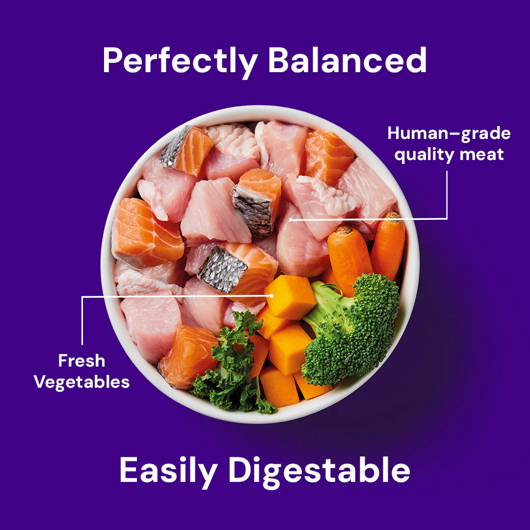 Raw Salmon & Turkey 500g - Image 5